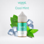 Cool Mint (Vozol)